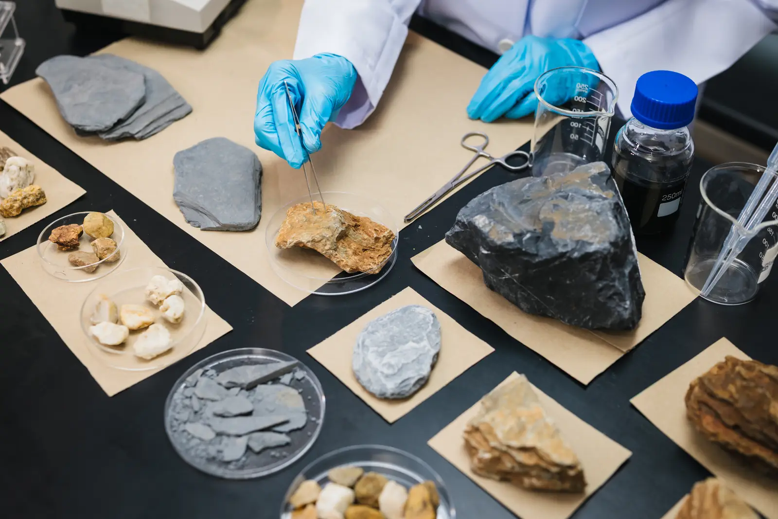 Rock samples. Stock photo.