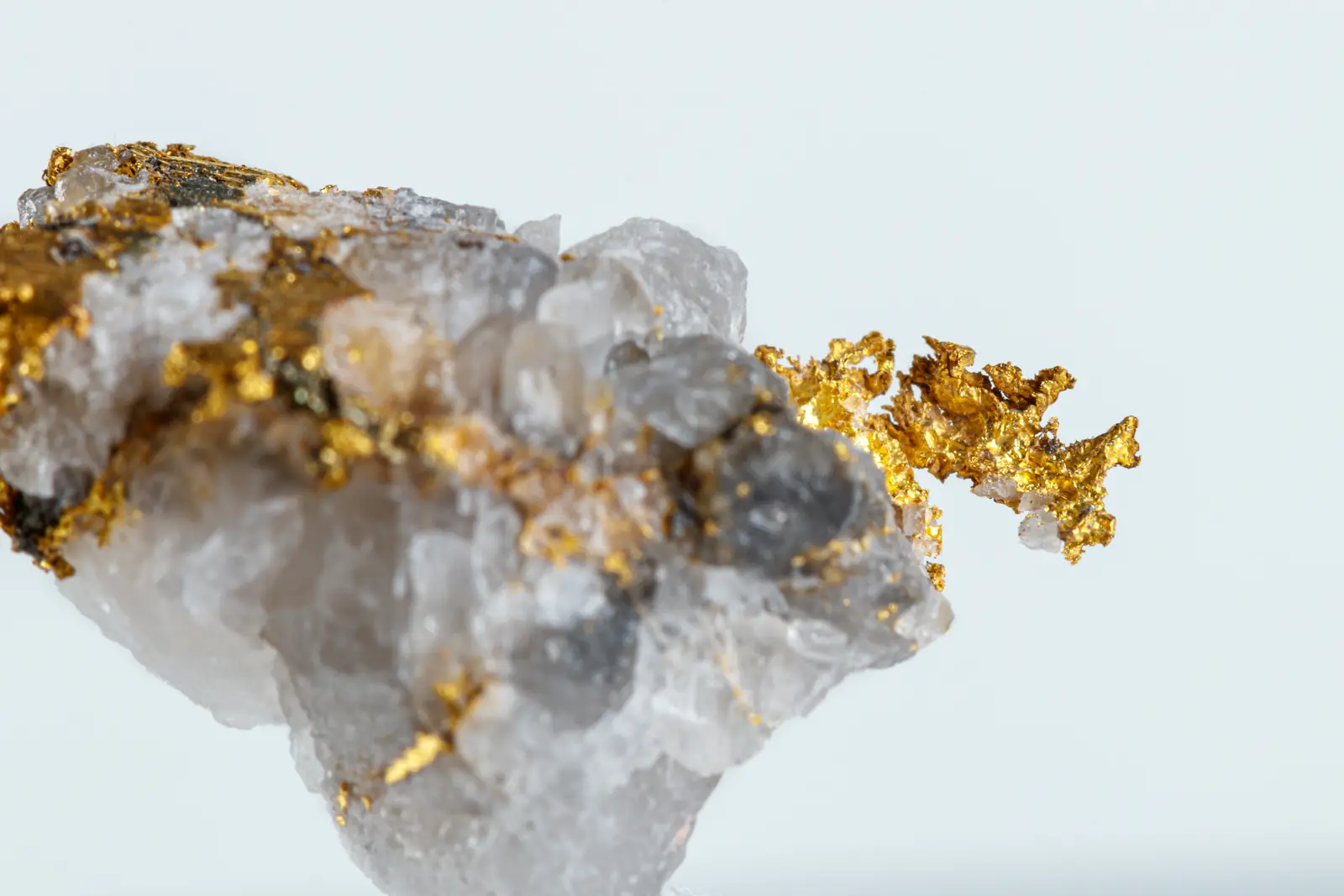 Gold in quartz. Stock photo.